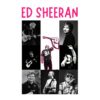 flat750x075f pad750x750f8f8f8 8 - Ed Sheeran UK Shop